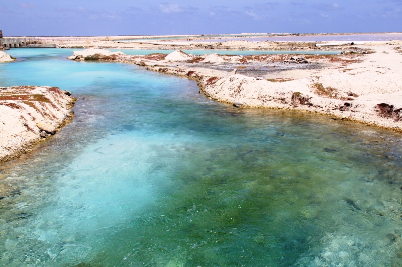 Bonaire (61)