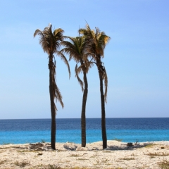 Bonaire (20)