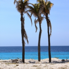 Bonaire (23)