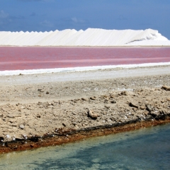 Bonaire (36)