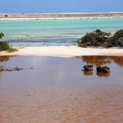 Bonaire (45)