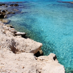 Bonaire (50)