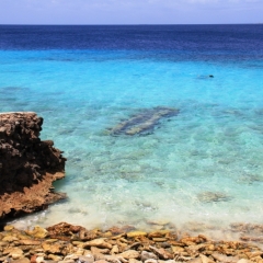 Bonaire (51)