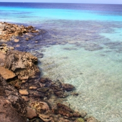 Bonaire (53)