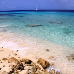 Bonaire (59)