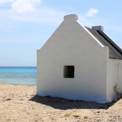 Bonaire (6)
