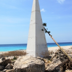 Bonaire (62)