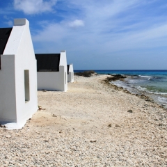 Bonaire (7)