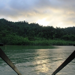 Borneo (13)