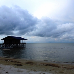 Borneo (14)