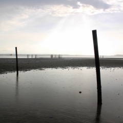 Borneo (41)