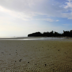 Borneo (42)
