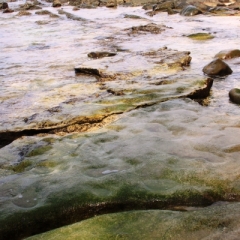 Borneo (6)