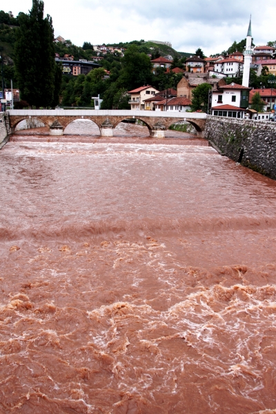 Bosnië & Herzegovina (109)