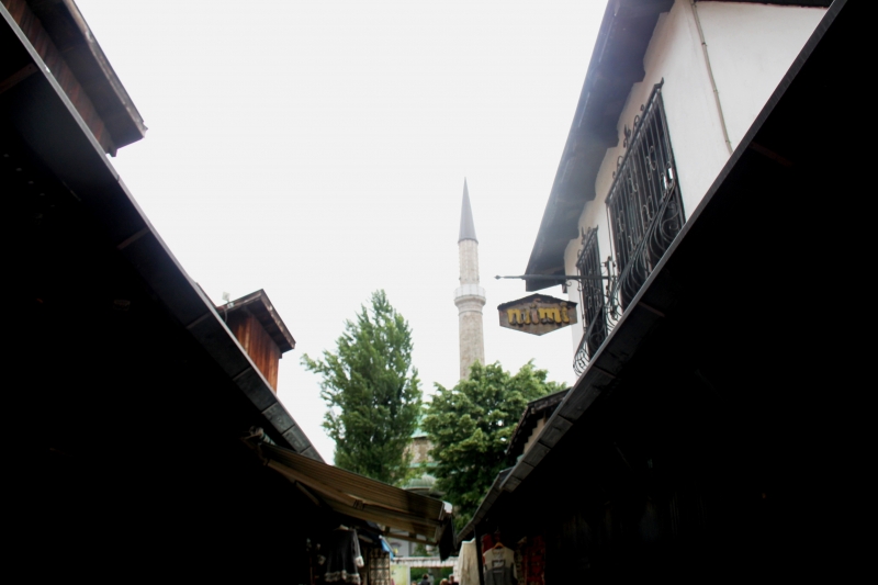 Bosnië & Herzegovina (43)