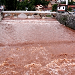 Bosnië & Herzegovina (109)