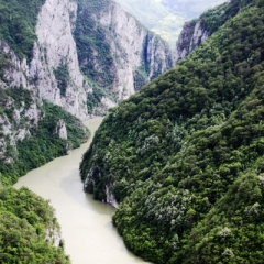 Bosnië & Herzegovina (19)