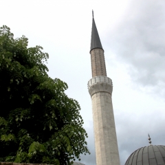 Bosnië & Herzegovina (45)