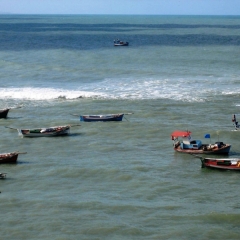 Brazilie (4)