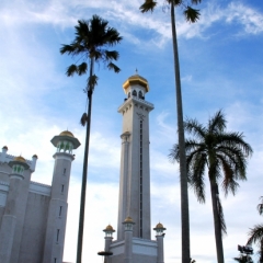 Brunei (16)