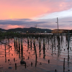 Brunei (44)