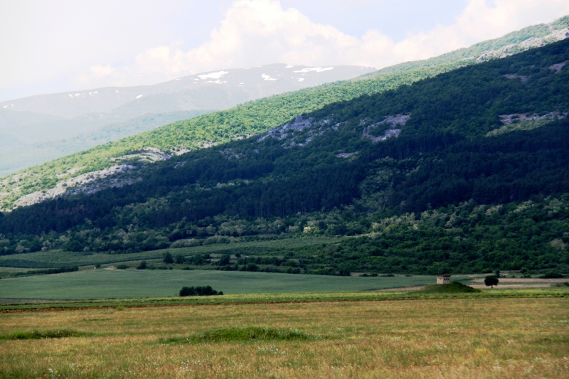 Bulgarije (217)