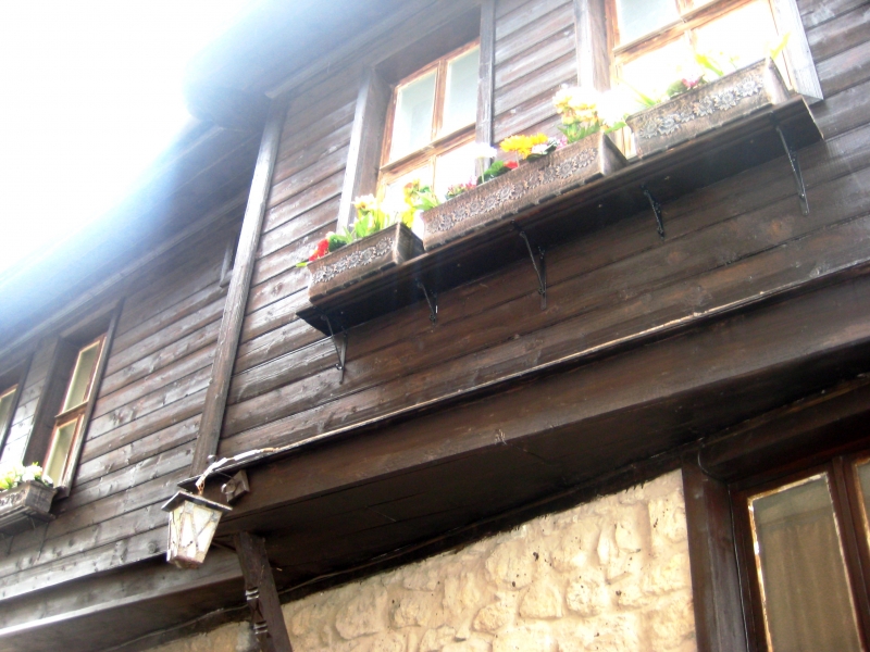 Bulgarije (53)