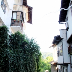 Bulgarije (39)