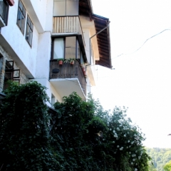 Bulgarije (40)