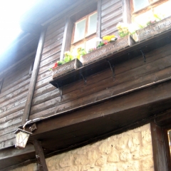 Bulgarije (53)