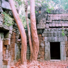 Cambodja (13)