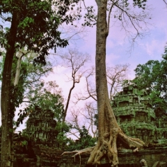 Cambodja (38)