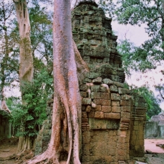 Cambodja (5)