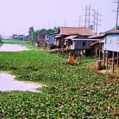 Cambodja (53)