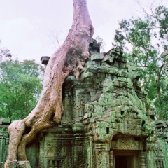 Cambodja (8)