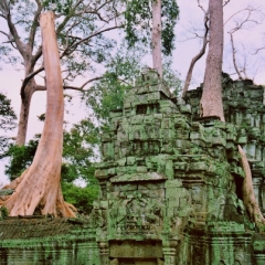 Cambodja (9)
