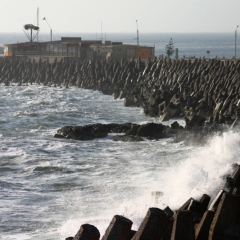 Centraal Chili (102)