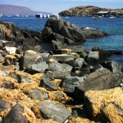 Centraal Chili (28)