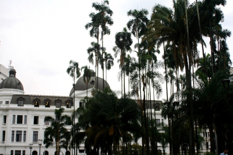 Centraal Colombia (248)