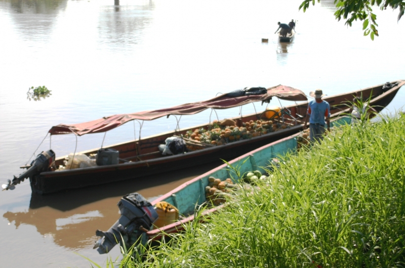 Centraal Colombia (275)