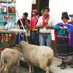 Centraal Colombia (236)