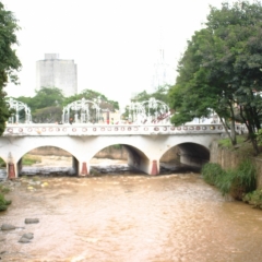 Centraal Colombia (247)