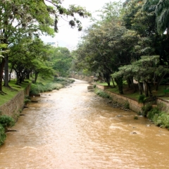 Centraal Colombia (252)