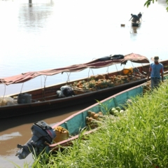 Centraal Colombia (275)