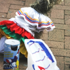 Centraal Colombia (35)