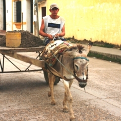 Centraal Colombia (88)