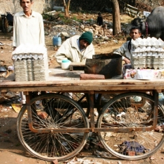 Centraal Oost India (101)