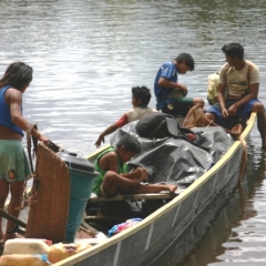 Centraal Venezuela (219)