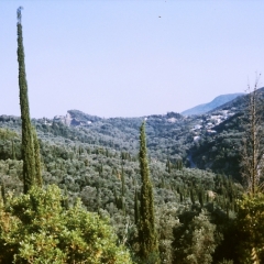 Griekenland - Corfu (3)