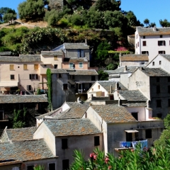 Corsica - Nonza (9)